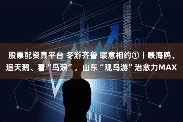 股票配资真平台 冬游齐鲁 暖意相约①丨喂海鸥、追天鹅、看“鸟浪”，山东“观鸟游”治愈力MAX