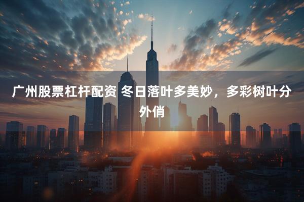 广州股票杠杆配资 冬日落叶多美妙，多彩树叶分外俏