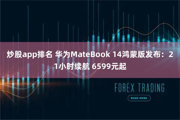 炒股app排名 华为MateBook 14鸿蒙版发布：21小时续航 6599元起